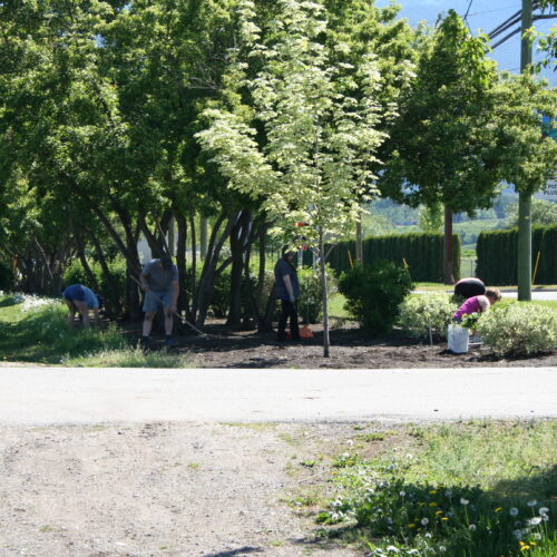 2015 05 20 - Church Helpers weeding 01